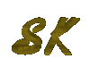Welcome to Steve Karas and Associates