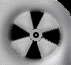 fanani.gif (4956 bytes)